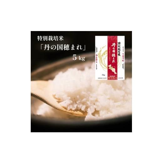 ふるさと納税 京都府 綾部市 特別栽培米 コシヒカリ「丹の国穂まれ」 5kg こしひかり お米 米 綾部 京都