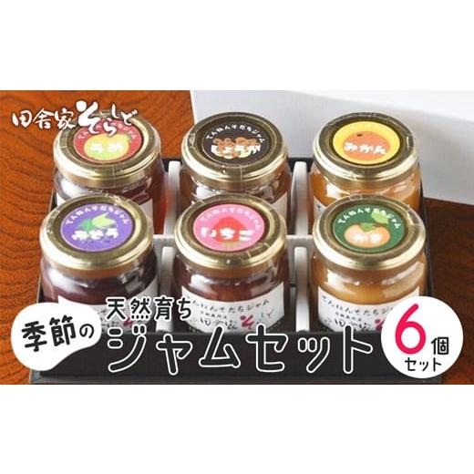 ふるさと納税 ジャム オレンジ 京都府 綾部市 天然育ち季節のジャム 6個 ジャム ジャムセット 季節のジャム 国産 果物 フルーツ 手みやげ お返し 内祝い お中…