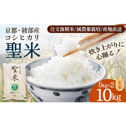 ふるさと納税 米 コシヒカリ 京都府 綾部市 「聖米」 玄米 10kg (5kg×2) | 米 お米 こしひかり 玄米 ごはん おこめ 国産 京都府 綾部市 玄米 10kg(5kg×2…