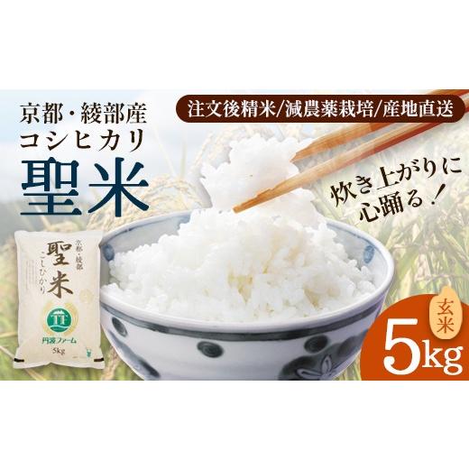 ふるさと納税 米 コシヒカリ 京都府 綾部市 「聖米」 玄米 5kg | 米 お米 こしひかり 玄米 ごはん おこめ 国産 京都府 綾部市 玄米 5kg:13,000円