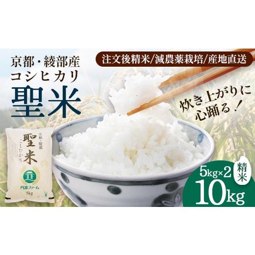 ふるさと納税 米 コシヒカリ 京都府 綾部市 「聖米」 白米 10kg (5kg×2) | 米 お米 こしひかり 白米 精米 ごはん おこめ 国産 京都府 綾部市 精米 10kg(5kg…