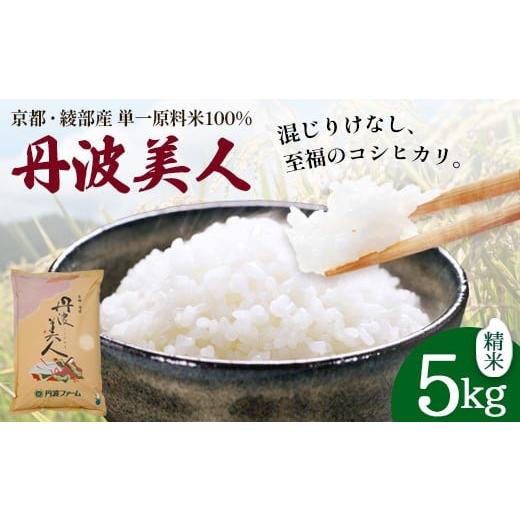 ふるさと納税 米 コシヒカリ 京都府 綾部市 「丹波美人」白米 5kg | 米 お米 こしひかり 白米 精米 ごはん おこめ 国産 京都府 綾部市 精米 5kg:13,000円