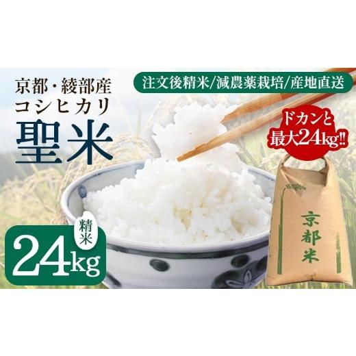ふるさと納税 米 コシヒカリ 京都府 綾部市 業務用 京都府産コシヒカリ 聖米 白米24kg | 米 お米 こしひかり 白米 精米 ごはん おこめ 国産 京都府 綾部市 精…