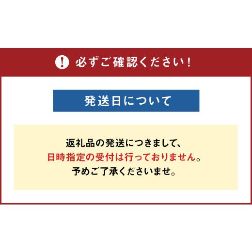 ふるさと納税 大分県 豊後大野市 072-735-C 【コズミックブルー】ライオン オフィス チェアー アイ・ビートル 1脚 ゲーミングチェア ゲーム チェア テレワーク…｜furusatochoice｜09