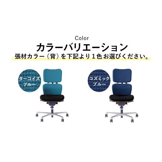 ふるさと納税 大分県 豊後大野市 072-735-BL 【ブラック】ライオン オフィス チェアー アイ・ビートル 1脚 ゲーミングチェア ゲーム チェア テレワーク キャス…｜furusatochoice｜05