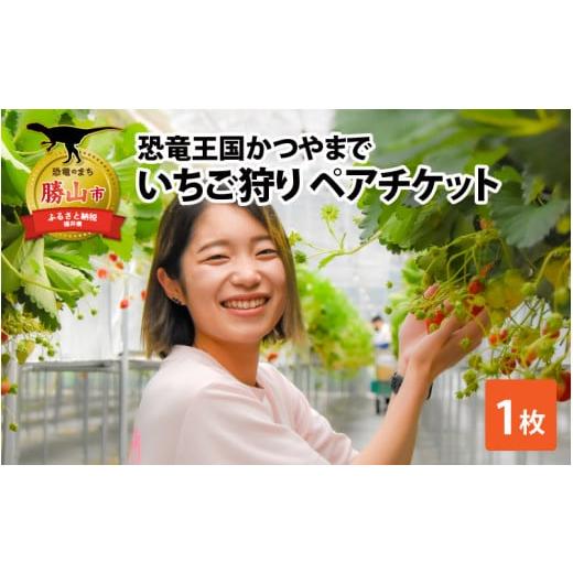 ふるさと納税 体験チケット 福井県 勝山市 恐竜王国かつやまでいちご狩り ペアチケット