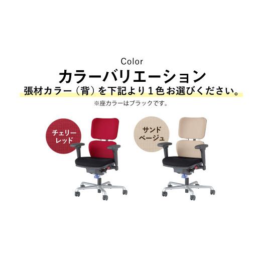 ふるさと納税 大分県 豊後大野市 072-738-T 【ターコイズブルー】ライオン オフィスチェアー アイ・ビートル 1脚 ゲーミングチェア ゲーム チェア テレワーク …｜furusatochoice｜05