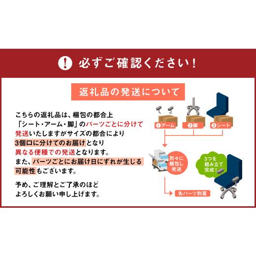 ふるさと納税 大分県 豊後大野市 072-738-BL 【ブラック】ライオン オフィスチェアー アイ・ビートル 1脚 ゲーミングチェア ゲーム チェア テレワーク ブラッ…｜furusatochoice｜07