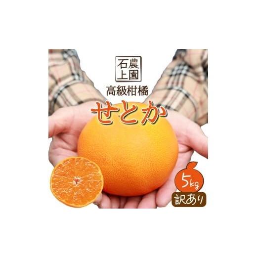 ふるさと納税 みかん・柑橘類 宮崎県 串間市 KU430 先行予約 数量限定 串間市都井「石上農園」わけあり せとか(約5kg 16〜20玉) 石上農園