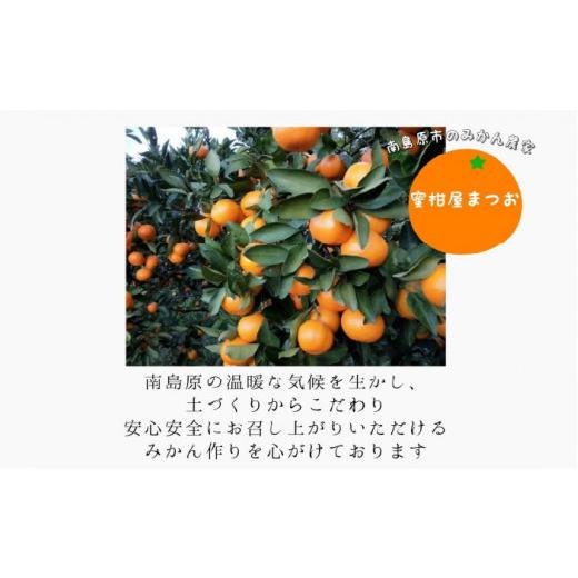 ふるさと納税 長崎県 南島原市 【2024年10月下旬〜発送】温州みかん 5kg ／ みかん ミカン 蜜柑 フルーツ 果物 ／ 南島原市 ／ 蜜柑屋まつお [SCQ001]｜furusatochoice｜04