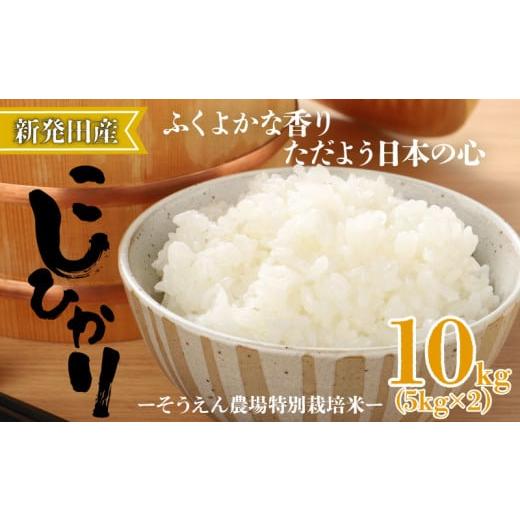 ふるさと納税 米 コシヒカリ 新潟県 新発田市 令和7年産 新潟県産 コシヒカリ 10kg 5kg×2袋 そうえん米 特別栽培米 お米 米 kome 白米 ご飯 こめ ごはん ライ…