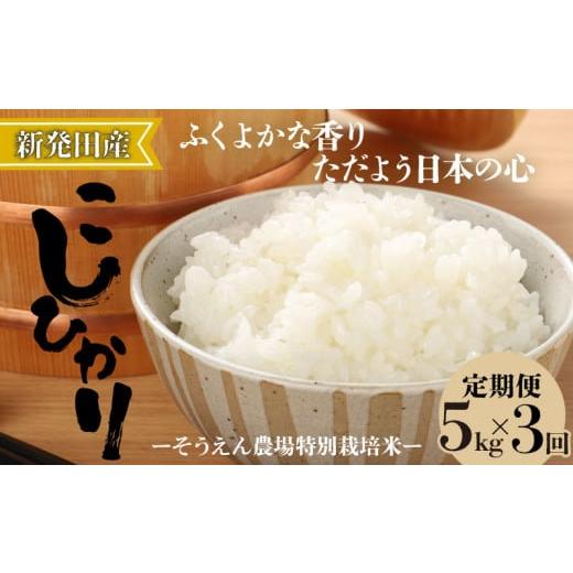 ふるさと納税 米 コシヒカリ 新潟県 新発田市 定期便 令和7年産 新潟県産 コシヒカリ 5kg×3か月 新潟県 新潟産 定期便 新潟米 新発田産 新発田 お米 米 そう…