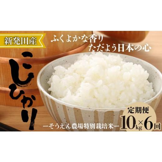 ふるさと納税 米 コシヒカリ 新潟県 新発田市 定期便 令和7年産 新潟県産 コシヒカリ 10kg×6か月 新潟県 新潟産 定期便 新潟米 新発田産 新発田 お米 米 そ…