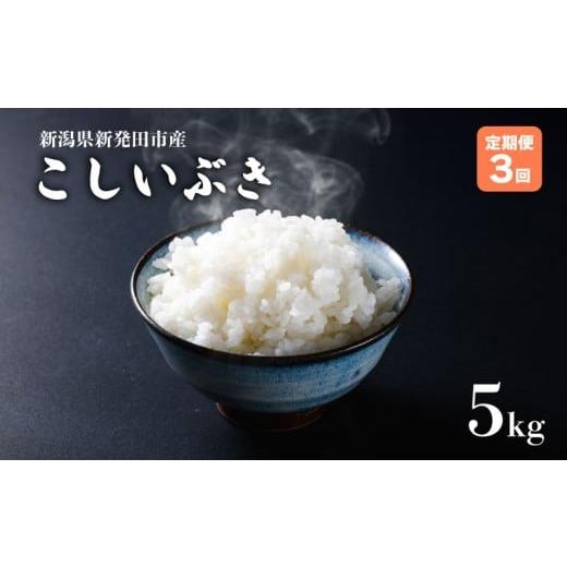 ふるさと納税 米 新潟県 新発田市 定期便 令和7年産 新潟県産こしいぶき 5kg×3か月 新潟県 新潟産 新潟米 新発田産 新発田 お米 米 こしいぶき とんとん市場…