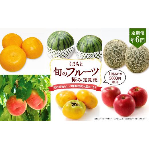 ふるさと納税 いちご 熊本県 -  年6回定期便 くまもと 旬のフルーツ極み 定期便 (1) ｜ フルーツ くだもの 果物 旬 旬の果物 熊本県産_1
