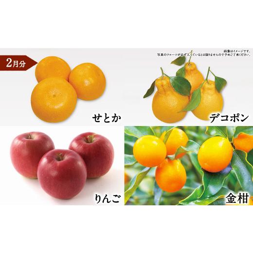 ふるさと納税 いちご 熊本県 -  年6回定期便 くまもと 旬のフルーツ極み 定期便 (1) ｜ フルーツ くだもの 果物 旬 旬の果物 熊本県産_4