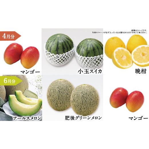 ふるさと納税 いちご 熊本県 -  年6回定期便 くまもと 旬のフルーツ極み 定期便 (1) ｜ フルーツ くだもの 果物 旬 旬の果物 熊本県産_5