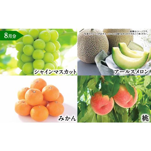 ふるさと納税 いちご 熊本県 -  年6回定期便 くまもと 旬のフルーツ極み 定期便 (1) ｜ フルーツ くだもの 果物 旬 旬の果物 熊本県産_6