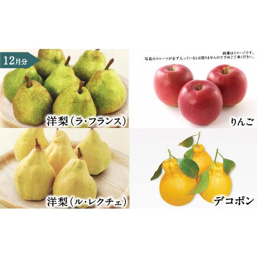 ふるさと納税 いちご 熊本県 -  年6回定期便 くまもと 旬のフルーツ極み 定期便 (1) ｜ フルーツ くだもの 果物 旬 旬の果物 熊本県産_8
