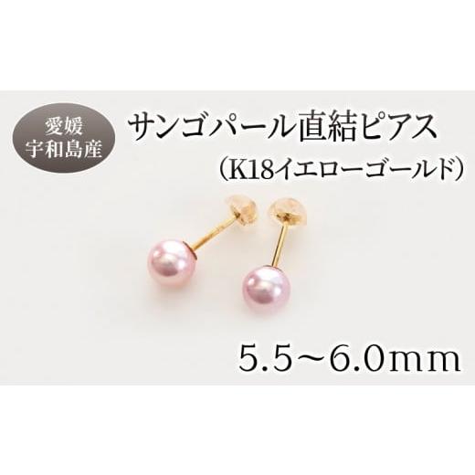 ふるさと納税 アクセサリー ピアス 愛媛県 宇和島市 サンゴ パール 直結 ピアス 5.5-6.0mm イエローゴールド 松本真珠 真珠 無調色 アクセサリー パールピアス…