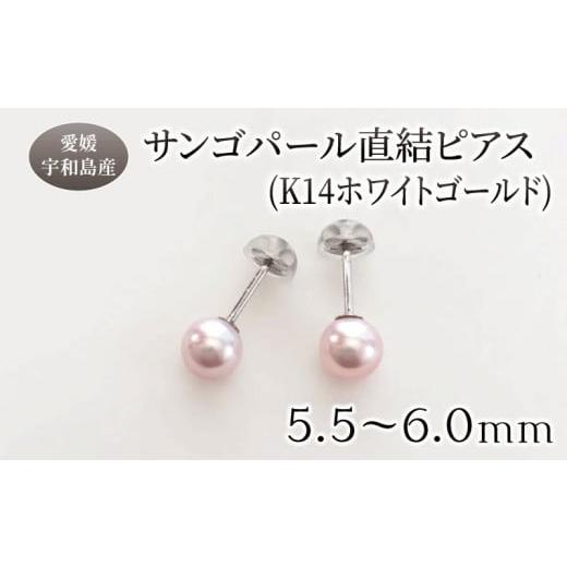 ふるさと納税 アクセサリー ピアス 愛媛県 宇和島市 サンゴ パール 直結 ピアス 5.5-6.0mm ホワイトゴールド 松本真珠 真珠 無調色 アクセサリー パールピアス…