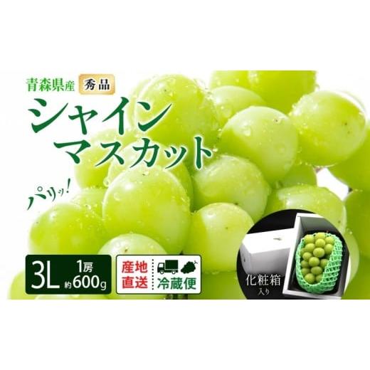 ふるさと納税 ぶどう マスカット 青森県 西目屋村 シャインマスカット 秀品 1房 約600g 青森県産 ぶどう ブドウ 葡萄 種なし 大粒 果物 フルーツ くだもの 果…