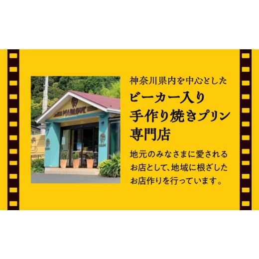ふるさと納税 菓子 プリン 神奈川県 葉山町 極上のパーティー プリン 約1200g ／ プリン スイーツ デザート カスタード スイーツ プリン 固め ぷりん 濃厚 お…の画像