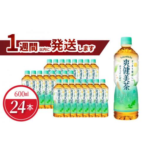 ふるさと納税 滋賀県 守山市 爽健美茶 PET 600ml(24本入)