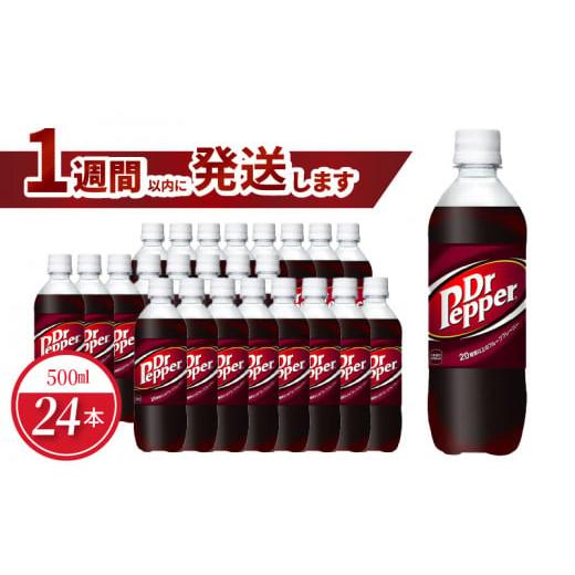 ふるさと納税 滋賀県 守山市 ドクターペッパー PET 500ml(24本入)