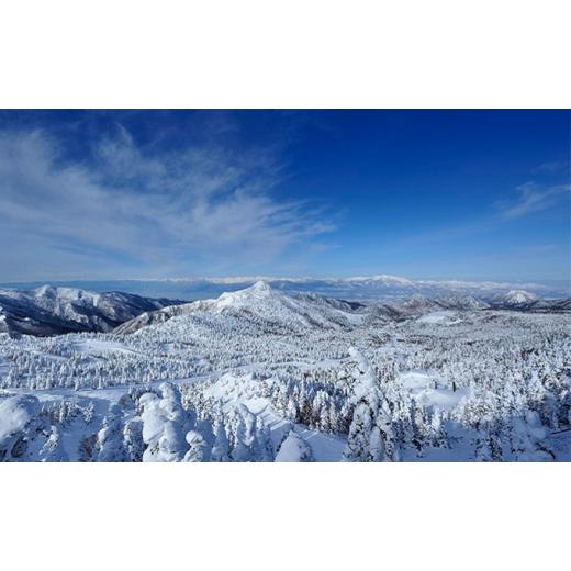 期間セール ！ ふるさと納税 長野県 山ノ内町 志賀高原スキー場共通リフト券　6日券 【P1854389863】(65320円)