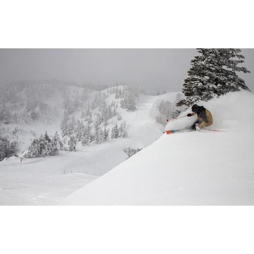 期間セール ！ ふるさと納税 長野県 山ノ内町 志賀高原スキー場共通リフト券　6日券 【P1854389863】(65320円)