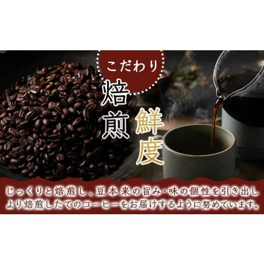 ふるさと納税 コーヒー コーヒー豆 宮崎県 都城市 焙煎職人こだわりのコーヒー 豆 500g 小分けパック(ジッパー・バルブ付) 中深煎り _LC-3302_(都城市) 250g&times;&hellip;