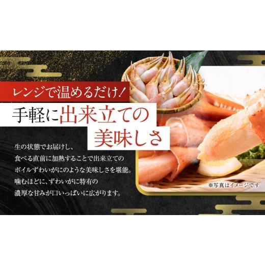 ふるさと納税 カニ ずわいガニ 兵庫県 神戸市  レンジで生ずわい爪肉 600g（300g×2）の画像