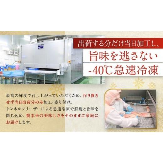 ふるさと納税 カニ ずわいガニ 兵庫県 神戸市  レンジで生ずわい爪肉 600g（300g×2）の画像