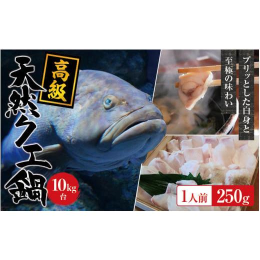 ふるさと納税 海鮮鍋 和歌山県 新宮市 冷凍 天然 高級クエ 10kg台 クエ鍋セット 1人前(250g) 2025年11月下旬から2026年2月下旬までに順次発送致します。 / …