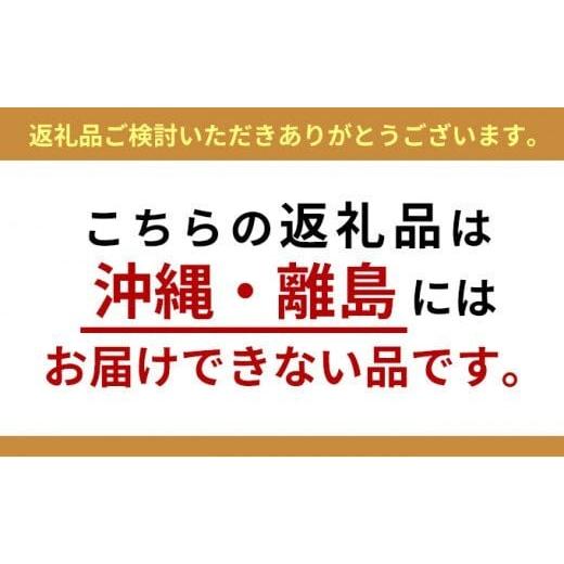ふるさと納税 織物・繊維品 宮城県 丸森町 佐野地織 敷物 2枚セット（色味：白系） 09104_8