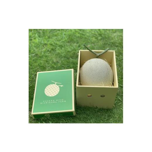 ふるさと納税 メロン メロン赤肉 大阪府 能勢町 [令和8年8月上旬発送予定] 大阪府能勢町産 赤肉メロン 『マリアージュ』 1玉 (1.5kg-1.8kg) 1344141