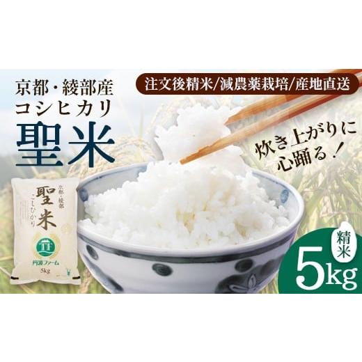 ふるさと納税 米 コシヒカリ 京都府 綾部市 「聖米」 白米 5kg | 米 お米 こしひかり 白米 精米 ごはん おこめ 国産 京都府 綾部市 精米 5kg:13,000円