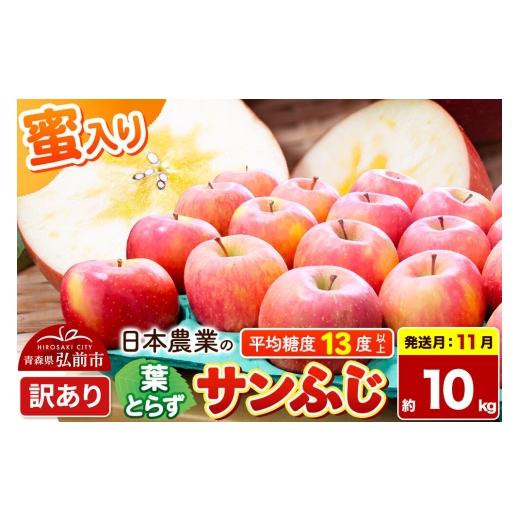 ふるさと納税 りんご 青森県 弘前市 26年11月発送 りんご 葉とらずサンふじ 訳あり 約10kg 蜜入り 平均糖度13度以上 青森県産 りんご 林檎 アップル 産地直送…