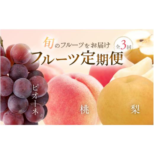 ふるさと納税 もも 和歌山県 すさみ町 3か月定期便 和歌山産フルーツ定期便 [人気の桃・梨・ピオーネ 旬のフルーツを毎月お届け ] もも モモ なし ナシ ぶ…