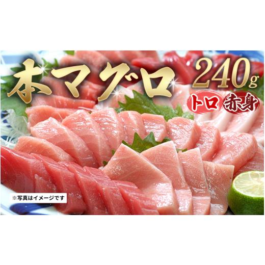 ふるさと納税 マグロ 和歌山県 北山村 串本町×北山村 本マグロ(養殖)トロ&赤身セット 240g 12月発送 配達日指定不可 nks113-12 12月発送