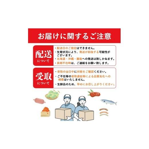ふるさと納税 果物の詰合せ 香川県 丸亀市 絶品フルーツの定期便 -旬の果実便り- 12ヶ月 讃州丸亀 定期便 フルーツ セット 詰め合わせ 小原紅早生みかん いち…_3