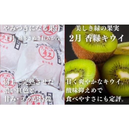 ふるさと納税 果物の詰合せ 香川県 丸亀市 絶品フルーツの定期便 -旬の果実便り- 12ヶ月 讃州丸亀 定期便 フルーツ セット 詰め合わせ 小原紅早生みかん いち…_4