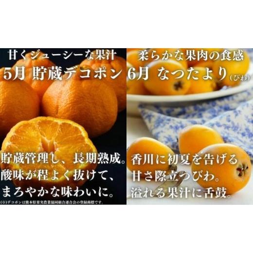 ふるさと納税 果物の詰合せ 香川県 丸亀市 絶品フルーツの定期便 -旬の果実便り- 12ヶ月 讃州丸亀 定期便 フルーツ セット 詰め合わせ 小原紅早生みかん いち…_6