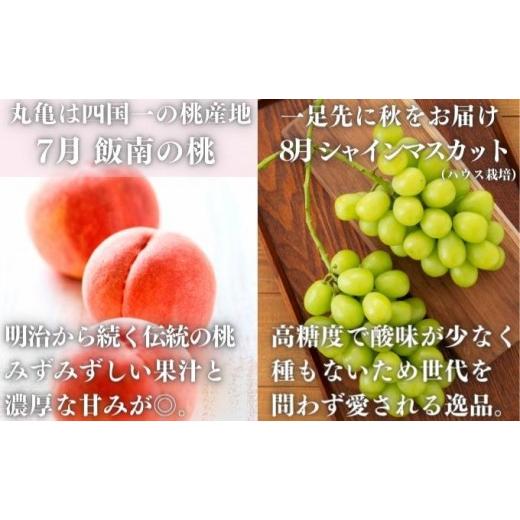 ふるさと納税 果物の詰合せ 香川県 丸亀市 絶品フルーツの定期便 -旬の果実便り- 12ヶ月 讃州丸亀 定期便 フルーツ セット 詰め合わせ 小原紅早生みかん いち…_7