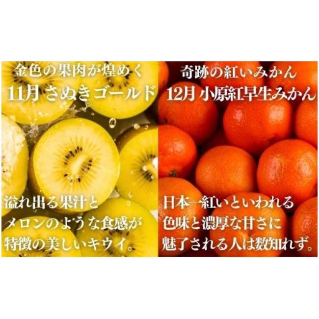 ふるさと納税 果物の詰合せ 香川県 丸亀市 絶品フルーツの定期便 -旬の果実便り- 12ヶ月 讃州丸亀 定期便 フルーツ セット 詰め合わせ 小原紅早生みかん いち…_9