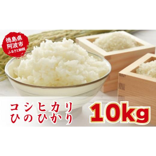 ふるさと納税 徳島県 阿波市 こしひかり ひのひかり 精米済 10kg お米 令和5年産白米