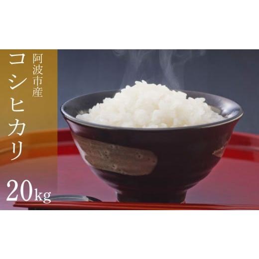 ふるさと納税 米 コシヒカリ 徳島県 阿波市 コシヒカリ 20kg 令和7年産 米 こめ ご飯 ごはん おにぎり 白米 精米 新米 卵かけご飯 食品 備蓄 備蓄米 保存 防災…