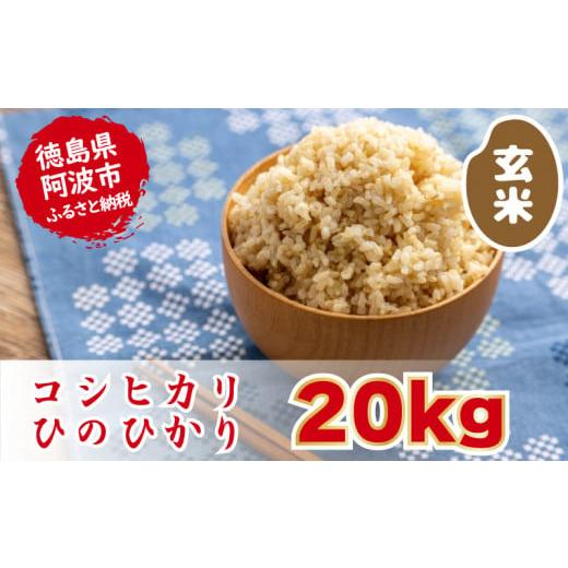 ふるさと納税 米 ヒノヒカリ 徳島県 阿波市 ヒノヒカリ 20kg 令和7年産 米 こめ ご飯 ごはん おにぎり 白米 精米 新米 卵かけご飯 食品 備蓄 備蓄米 保存 防災…