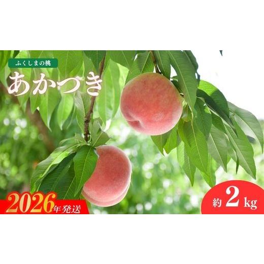 ふるさと納税 もも 福島県 福島市 No.2211 もも「あかつき」約2kg 2026年発送 先行予約の画像